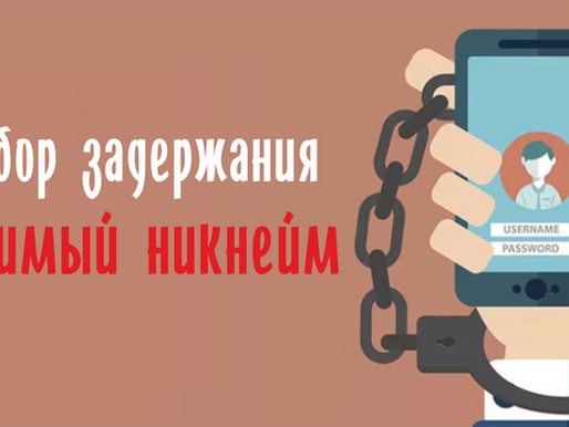 Любимый никнейм — разбор задержания