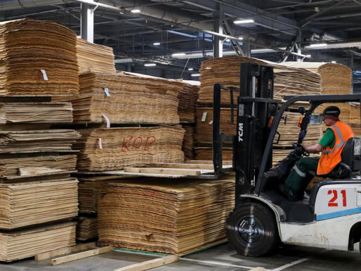 В Европу через Азию. Как Беларусь по-прежнему продает санкционную фанеру и пеллеты в ЕС