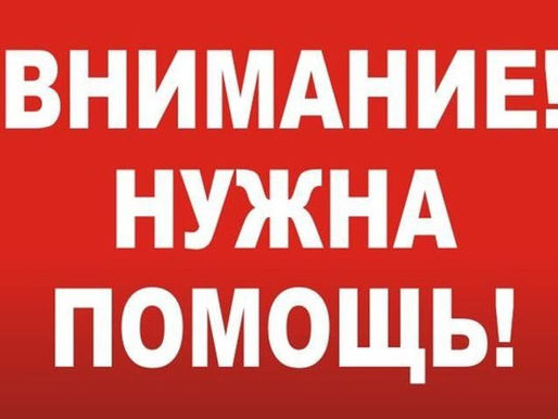 Нужна помощь с расследованием